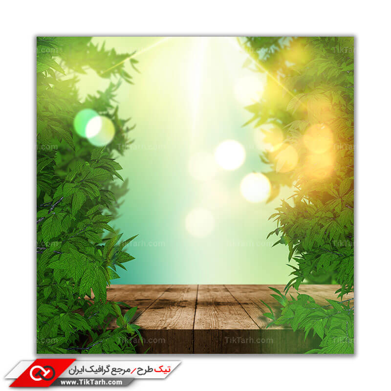 تصویر باکیفیت پل چوبی در دشت