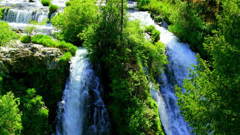تصویر باکیفیت از جریان رودخانه و آبشار در جنگل زیبا