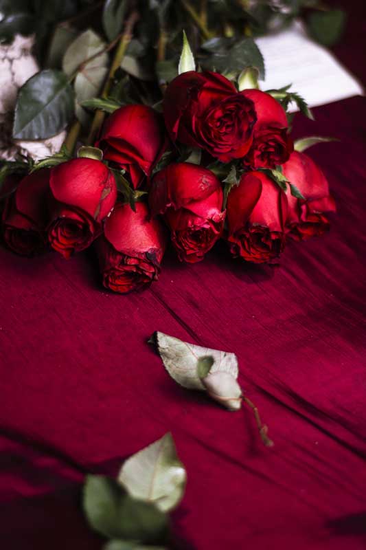دانلود عکس دسته گل رز قرمز روی پارچه زرشکی