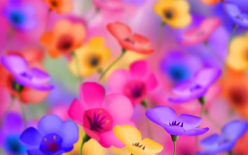 دانلود عکس فانتزی گل های رنگارنگ