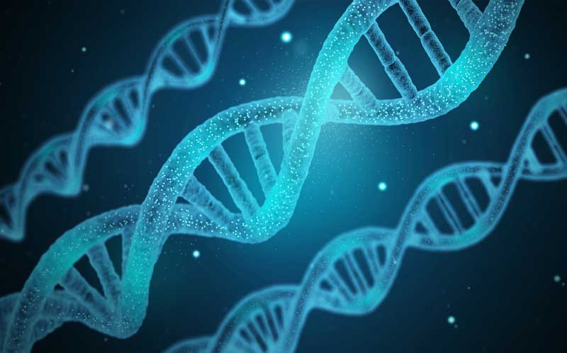 تصویر رشته DNA