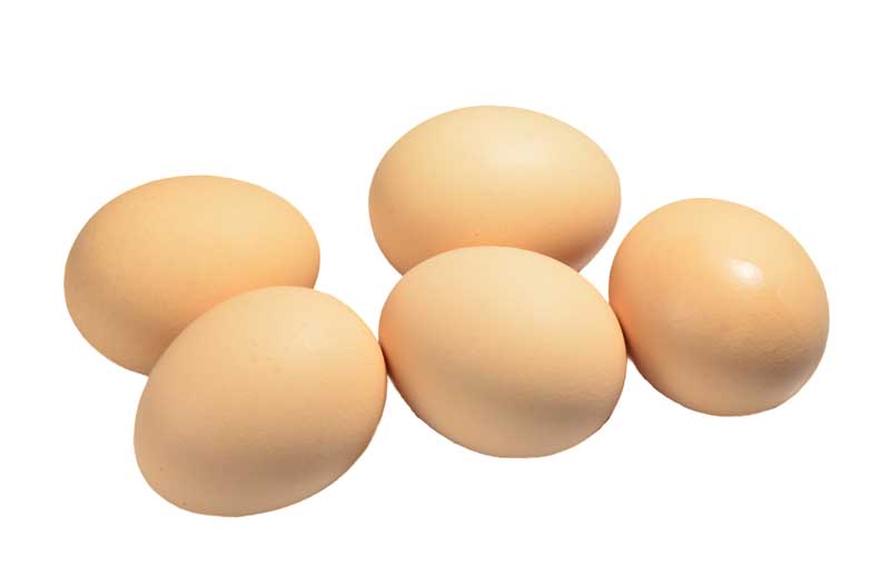 طرح تخم مرغ های محلی
