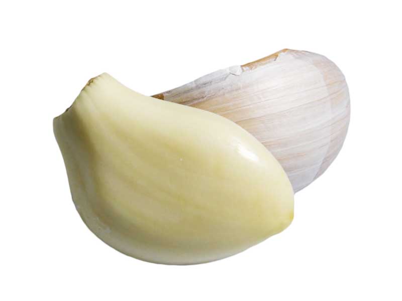 طرح حبه سیر