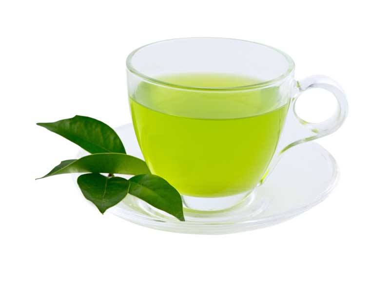 دانلود طرح فنجان دمنوش گیاهی سبز