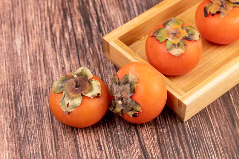 دانلود تصویر چهار عدد خرمالو