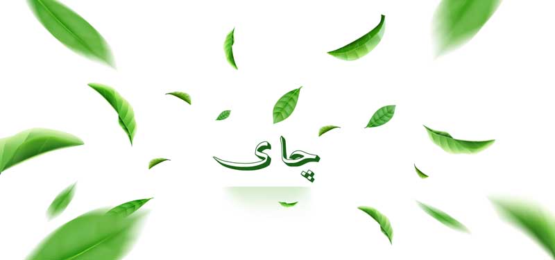 دانلود طرح پس زمینه چای
