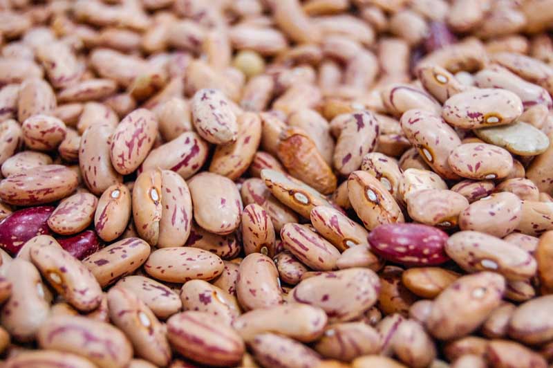 دانلود عکس گرافیکی لوبیا چیتی از نمای نزدیک