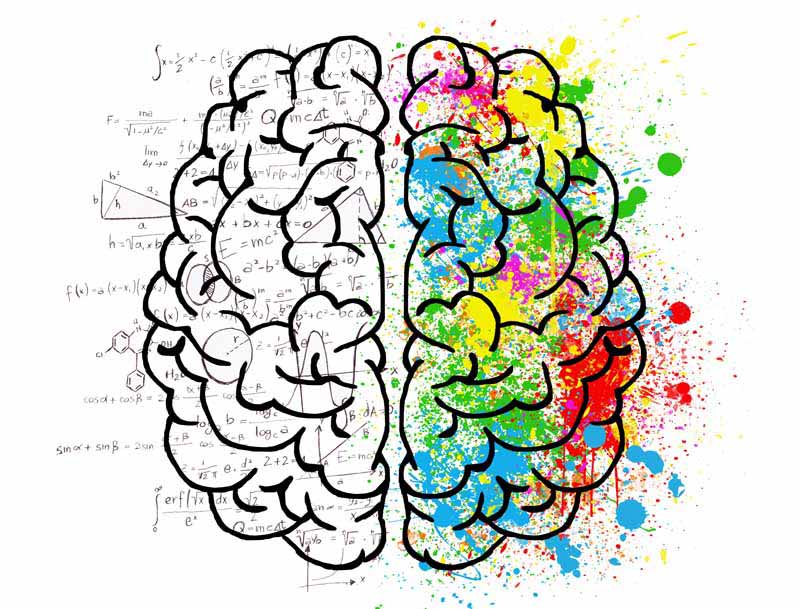 عکس مغز ریاضی