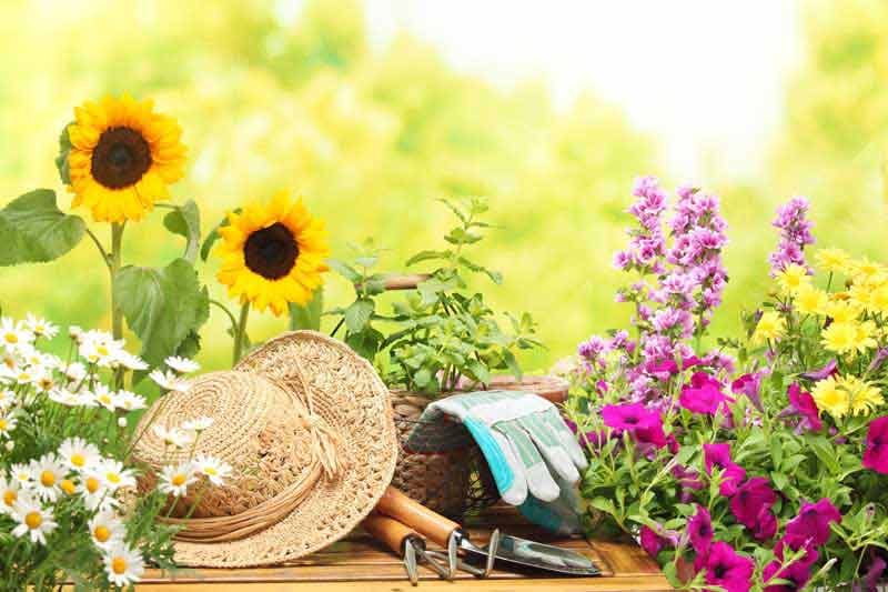 دانلود عکس گل و ابزار باغبانی