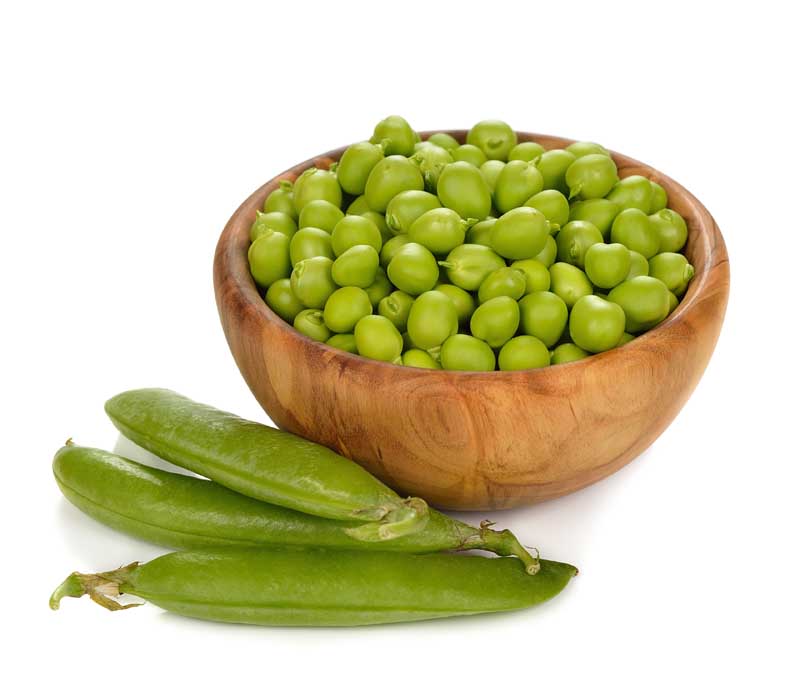 دانلود تصویر گرافیکی نخود فرنگی
