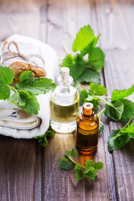 عکس گرافیکی حوله و برگ نعنا