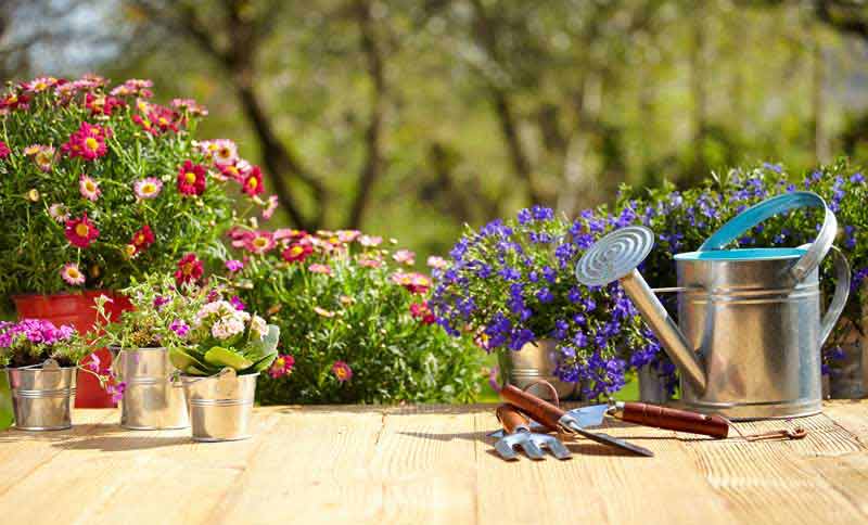 دانلود عکس باغ و باغبانی و گل