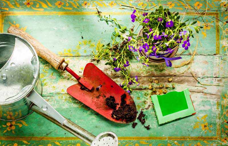 دانلود عکس بیلچه و سطل آبپاش باغبانی
