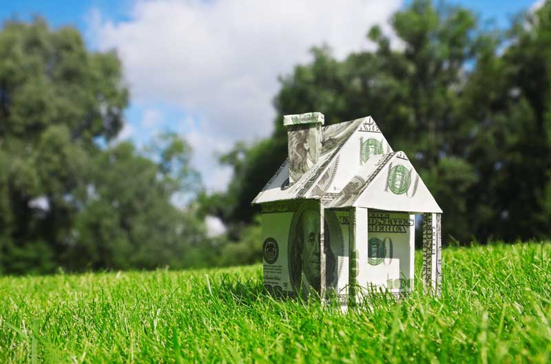دانلود تصویر با کیفیت ماکت خانه ای با طرح دلار در جنگل
