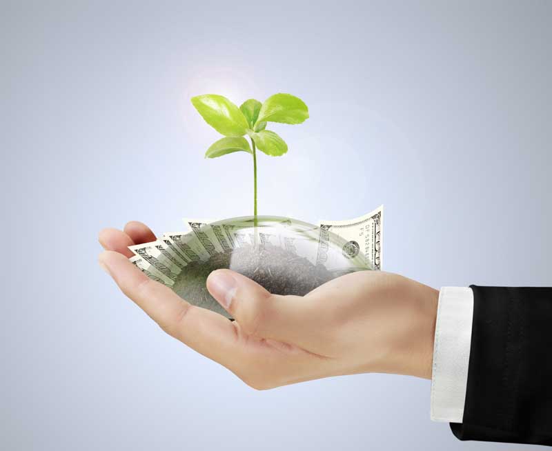 دانلود تصویر جوانه ای میان اسکناس ها