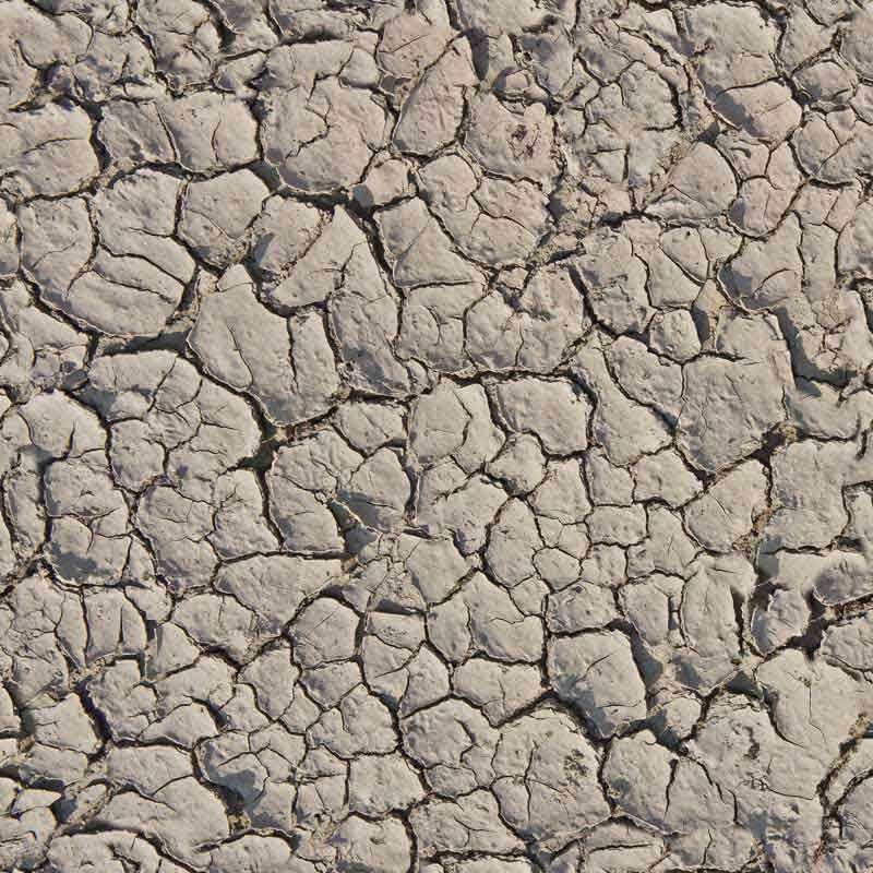 تصویر با کیفیت پس زمینه زمین خشکیده