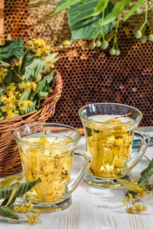 عکس زیبا از دمنوش