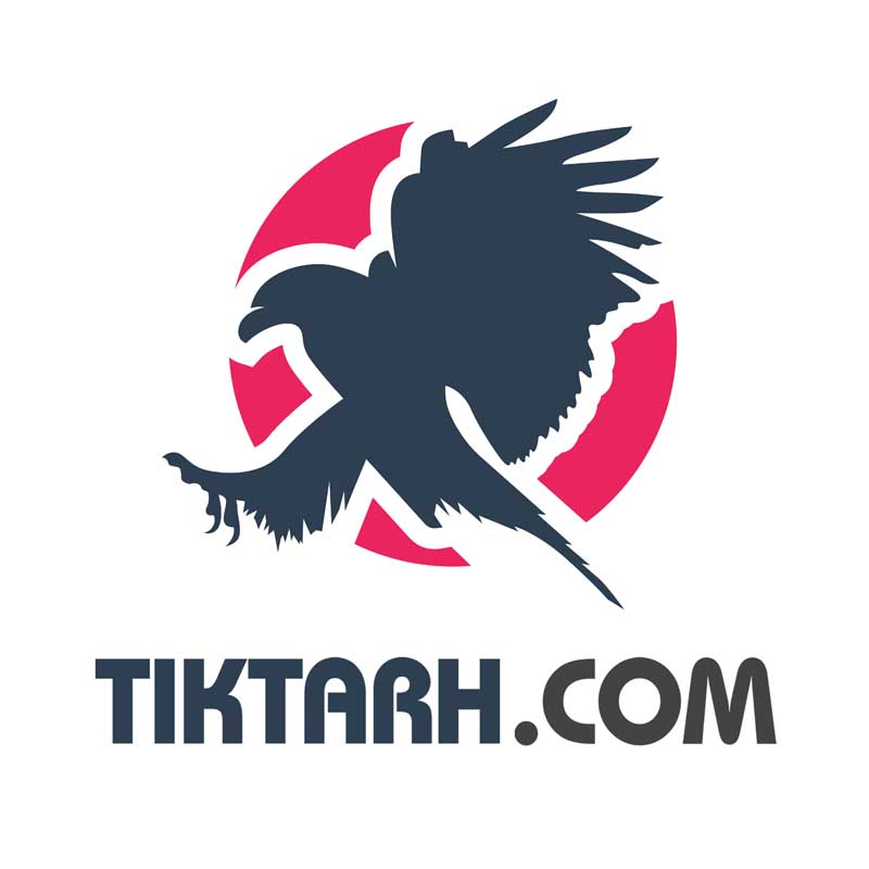 دانلود لوگو لایه باز عقاب شکارچی