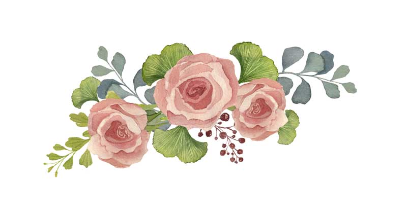 طرح کلیپ آرت بوته گل رز