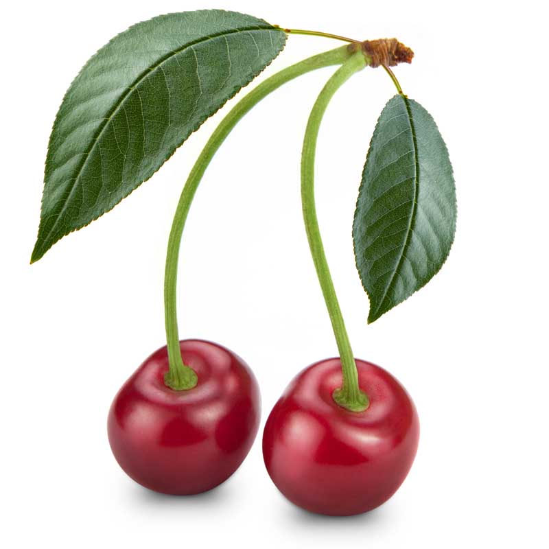 عکس لارج فرمت از دو عدد گیلاس با برگ