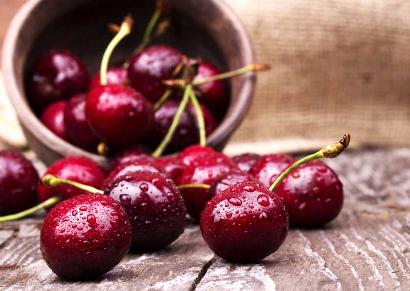 عکس لارج فرمت از گلاس ها در فنجان