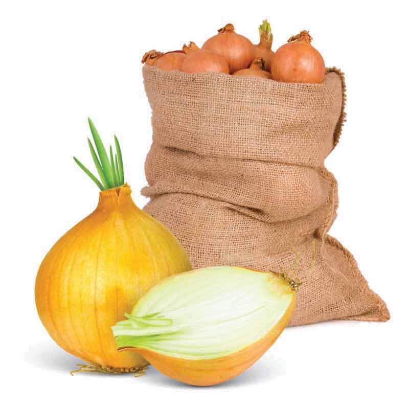 عکس زیبا از پیاز زرد جوانه زده