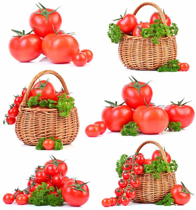 دانلود عکس شش ردیف گوجه