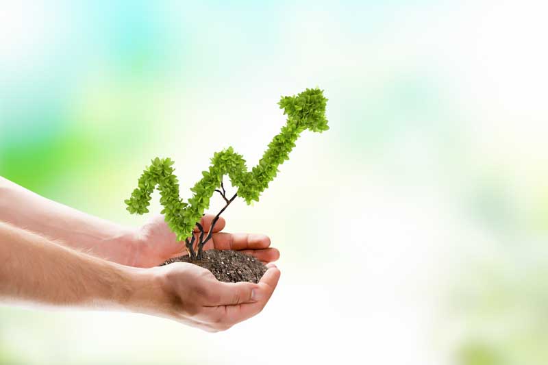 عکس از کاشت درخت با نماد پیشرفت