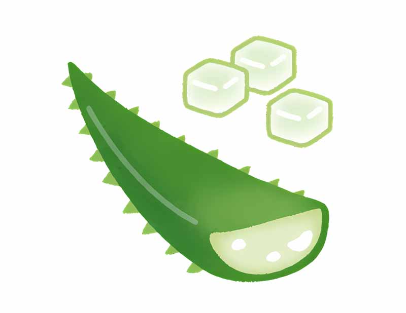دانلود طرح برگ گیاه آلوئه را
