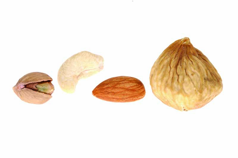 عکس لارج فرمت از اجزای آجیل
