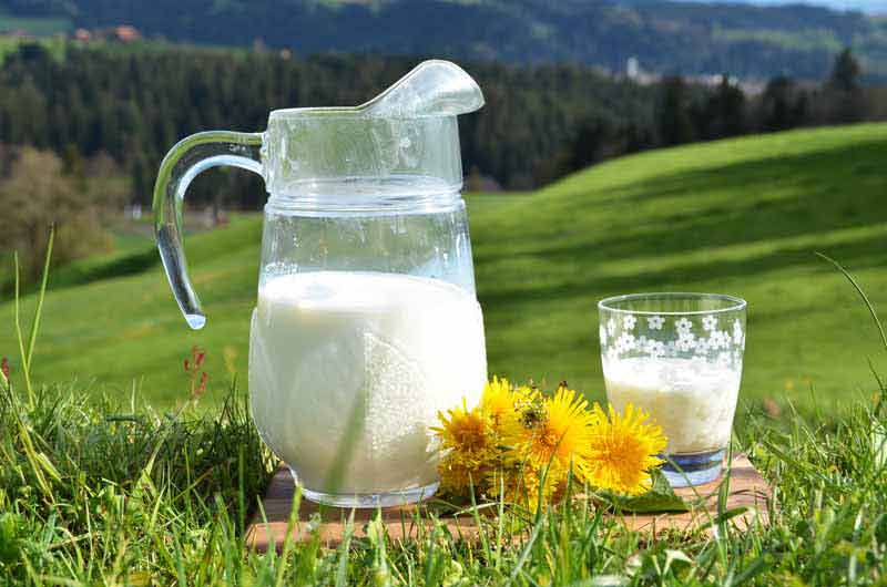 دانلود عکس زیبا از پارچ شیر در دشت