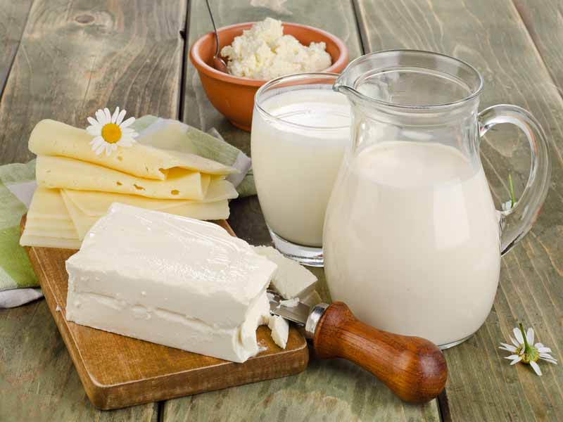 عکس زیبا از مواد پروتئینی لبنیات