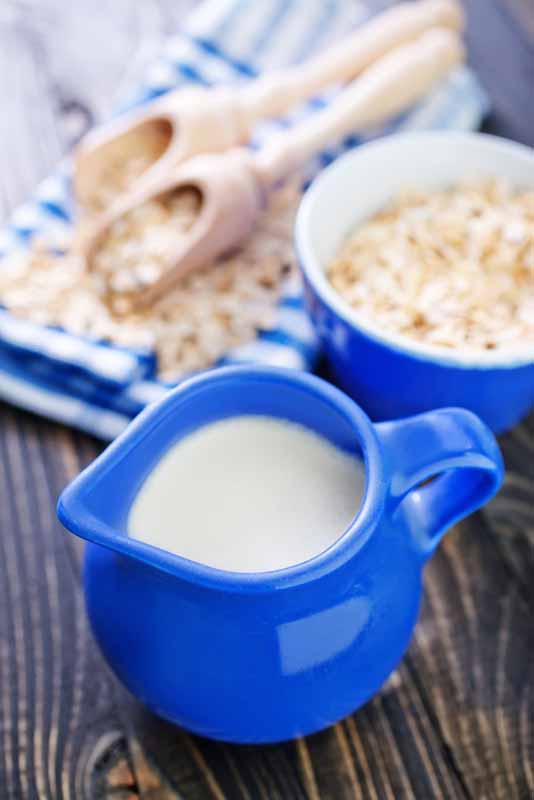 عکس با کیفیت از شیر در ظرف سفالی