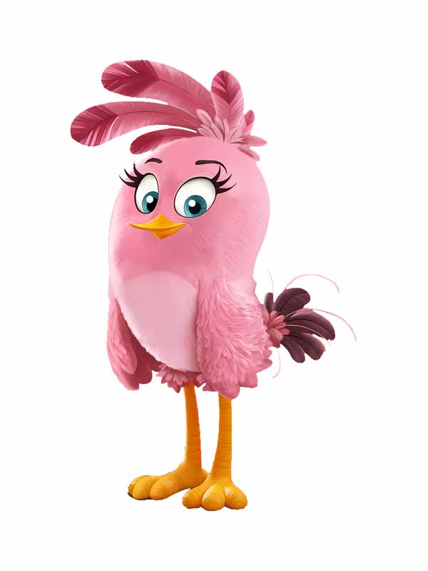 دانلود طرح گنجشک صورتی