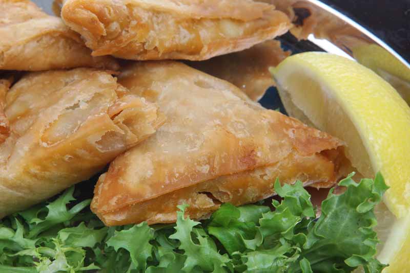 عکس لارج فرمت از سمبوسه