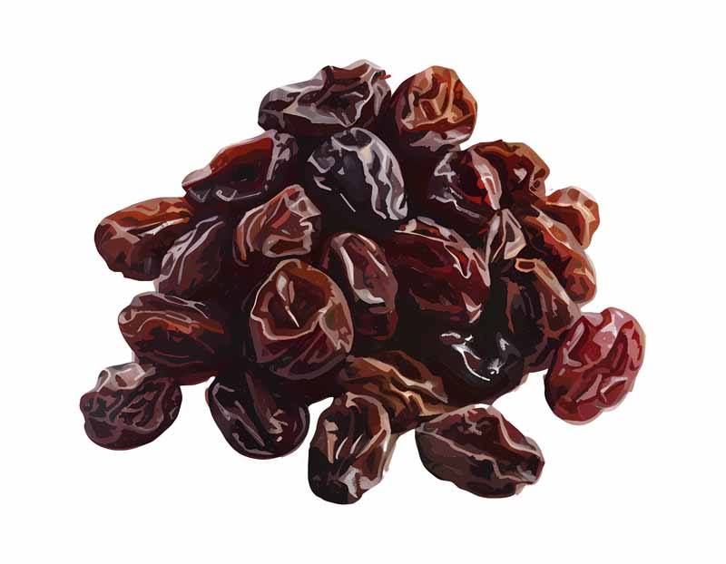 دانلود طرح خرما