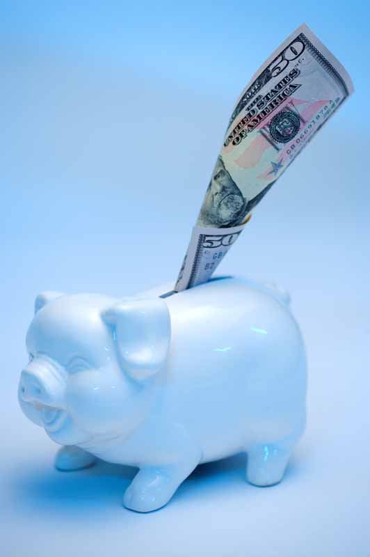 عکس با کیفیت از پول و قلک خرسی