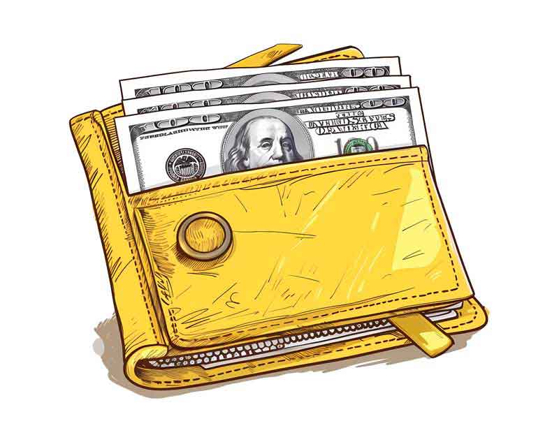 دانلود طرح کیف پول با دلار