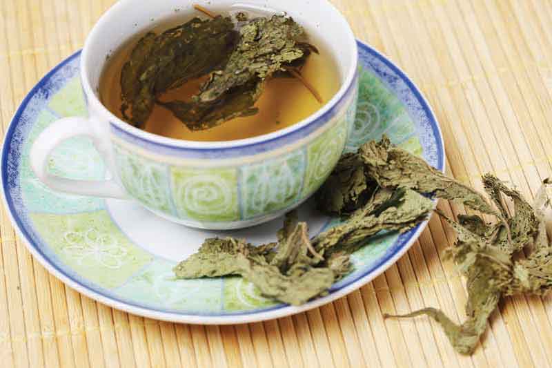 عکس لارج فرمت از دمنوش در فنجان آبی