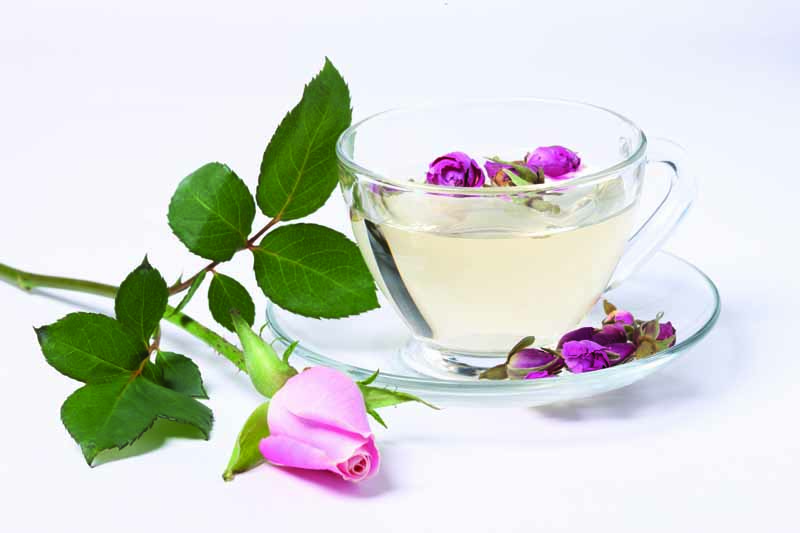 عکس لارج فرمت از دمنوش گل رز