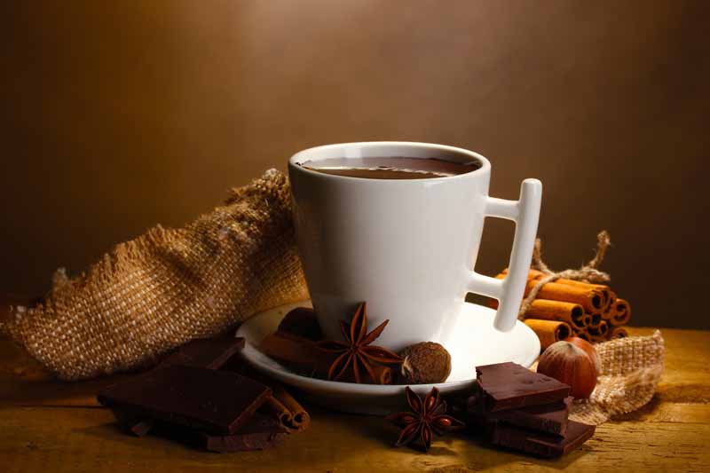 تصویر لارج فرمت از نوشیدنی دارچین
