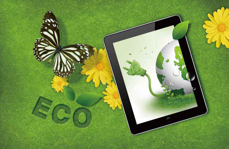 عکس با کیفیت از دنیای سبز