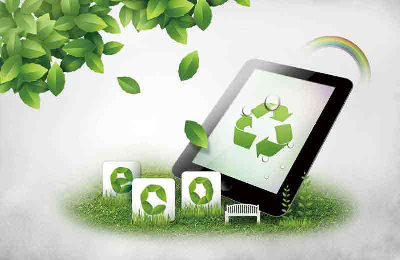 عکس با کیفیت از زندگی در دنیای سبز