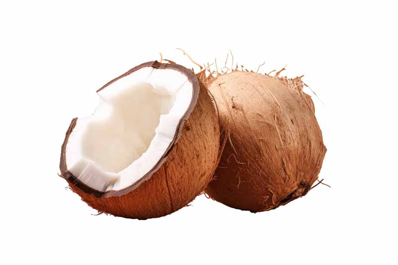 دانلود طرح نارگیل شکسته