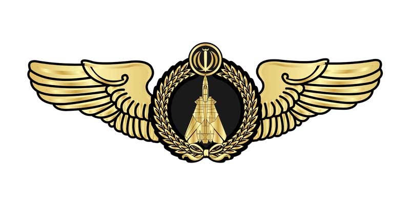 دانلود لوگوی بال خلبانی جنگنده F14
