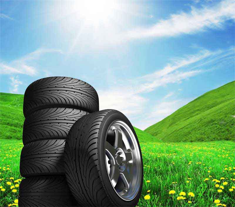عکس با کیفیت تایرها در طبیعت