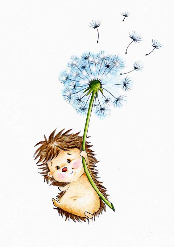 دانلود عکس از جوجه تیغی و قاصدک