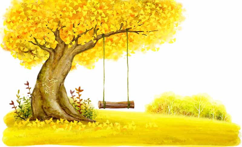 دانلود عکس از  تاب در درخت