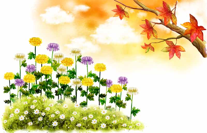 دانلود عکس از  گل های رنگارنگ