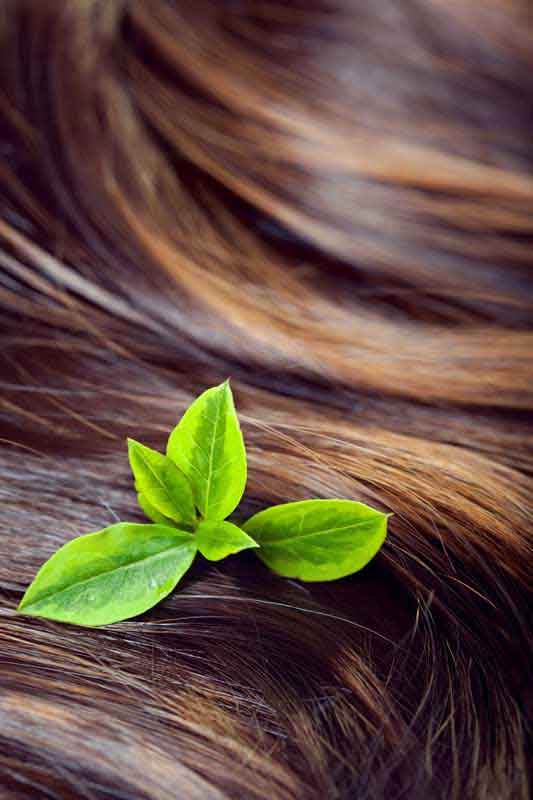 عکس لارج فرمت موی قهوه ای
